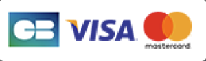 logo payment